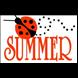 Summer Ladybug