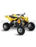 Can Am DS450 EFI/ X/ X MX/ X XC Catalog