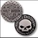 Harley Davidson - Skull