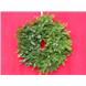 24" Undecorated Balsam Wreath