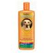 Organic Citrus Shampoo