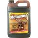 Molasses