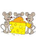Rodent Control