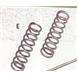 Front Suspension Titanium Spring Kit