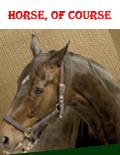 Horse Supplies