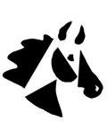 Equine Supplies