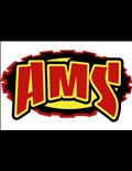 Action Motorsports