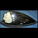 REPLICA FRONT FENDER INDIAN LIGHT