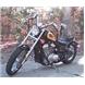 VLX HARDTAIL LOWERING KIT- HONDA