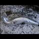 1998 Formula Z 670 Tuned Pipe