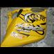 2006 Rev 550 Yellow Bee Side Panels.