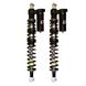 X1 IQ RMK Ski Shocks, Ars FX 40"/Stock (set)