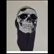 Skull Face Mask
