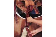 2009 Weaver Smart Cinch