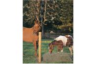 Non-Climb Horse Fence