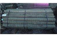 Lodge Poles