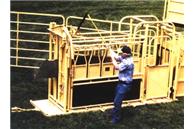 Model 300 & 300W Squeeze Chute