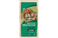 2009 Purina Omolene 300