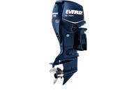 2008 75hp Evinrude E-TEC