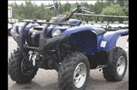2009 Grizzly 700