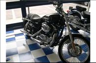 2009 HARLEY XL1200C
