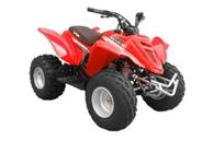 2009 E-ton Viper 90 ATV