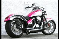 NEW Kawasaki VN900 BRITT LADIES SIGNATURE SERIES
