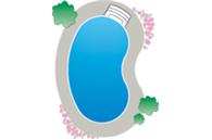Kidney