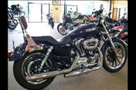 2009 XL 1200L Sportster® 1200 Low