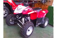 2010 Polaris 200 Pheonix
