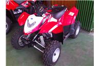 2010 Polaris 200 Pheonix