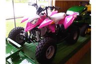 2010 Polaris Outlaw 90 Pink