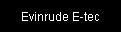 Evinrude E-tec