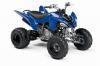 Yamaha Raptor 250