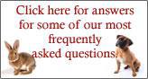 Click here for answers for some of our most frequently asked questions.