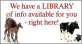 We have a LIBRARY of info available for you - right here!