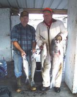 Huge Catfish!