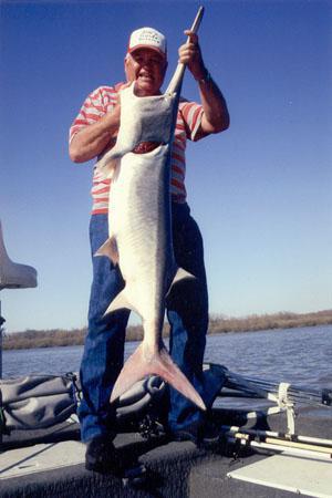 Jim Wagner