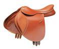 Saddle