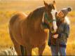 Horse N Hound Feed N Supply, Inc.