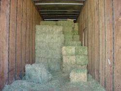 Horse N Hound Feed N Supply, Inc.
