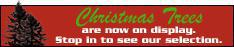 Christmas trees are now on display. Stop in to see our selection.