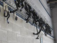 Hoses