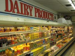 Dairy