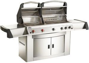Napoleon Grill