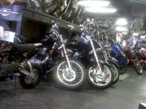 Suzuki Cruisers