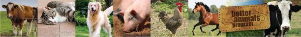 better animals strip.jpg