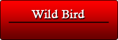 Wild Bird