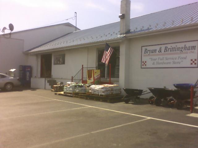 phone pictures 091.jpg