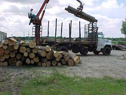 Hauling wood